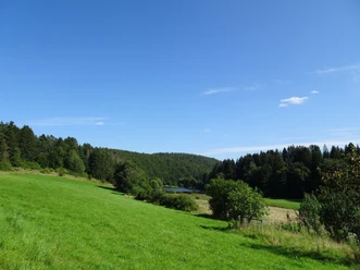 Der Silbersee und seine Umgebung Sie sehen den Blick über eine grüne Wiese, auf ein bewaldetes Tal mit dem Silbersee, unter blauem Himmel.