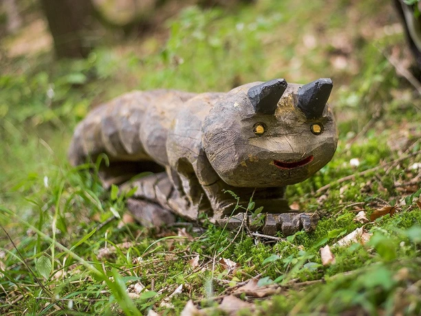 Wald-Wichtel-Paradies Rengershausen