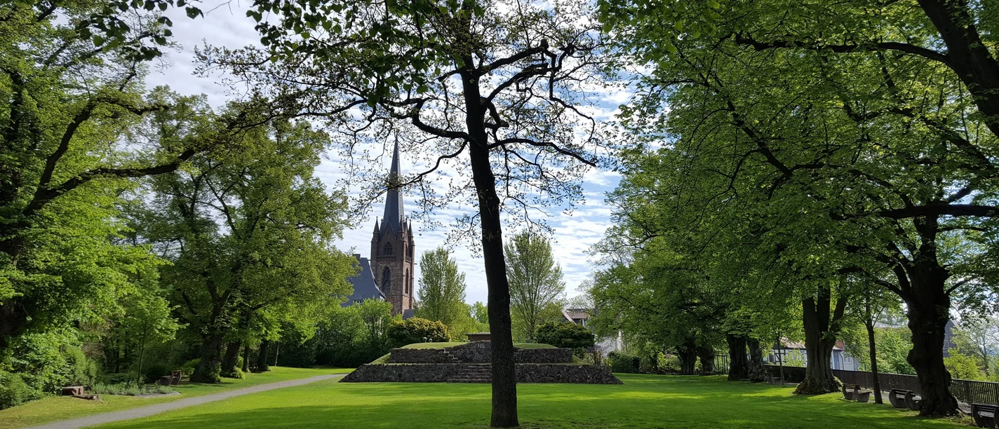 Burgberg in Frankenberg (Eder)