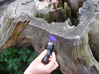 Geocaching