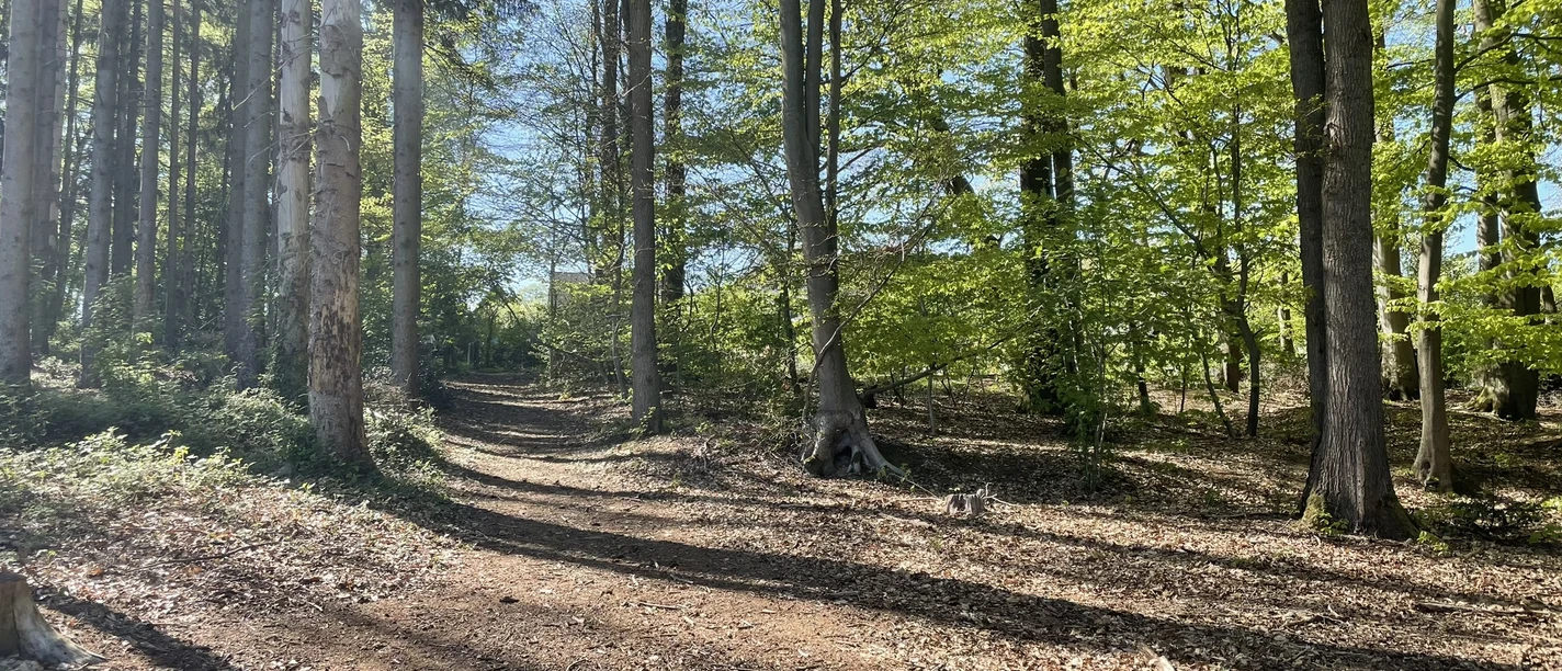Wald
