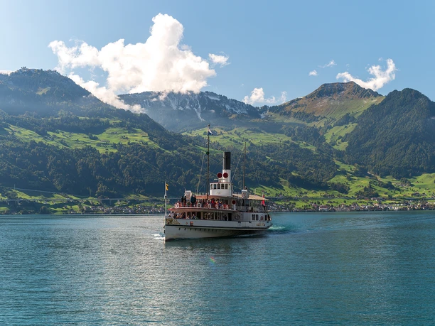SGV_Sommer_Vierwaldstättersee (91).jpg