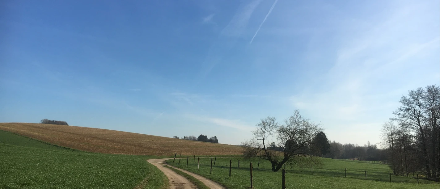 Nordic Walking meets Workout Feldweg zwischen grünen Wiesen und Ackerland unter blauem Himmel mit Bäumen und Zaun.