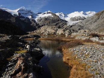 Kultur trifft Wissenschaft