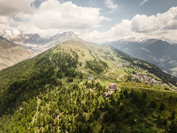 Kultur trifft Wissenschaft