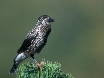 Kultur trifft Wissenschaft