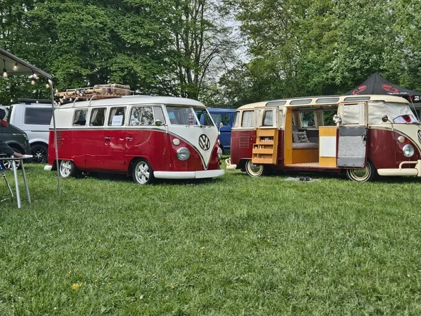 Bulli Day ohne nummernschilder.png