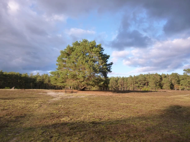 P1010438.JPG
