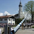 Maibaum.png