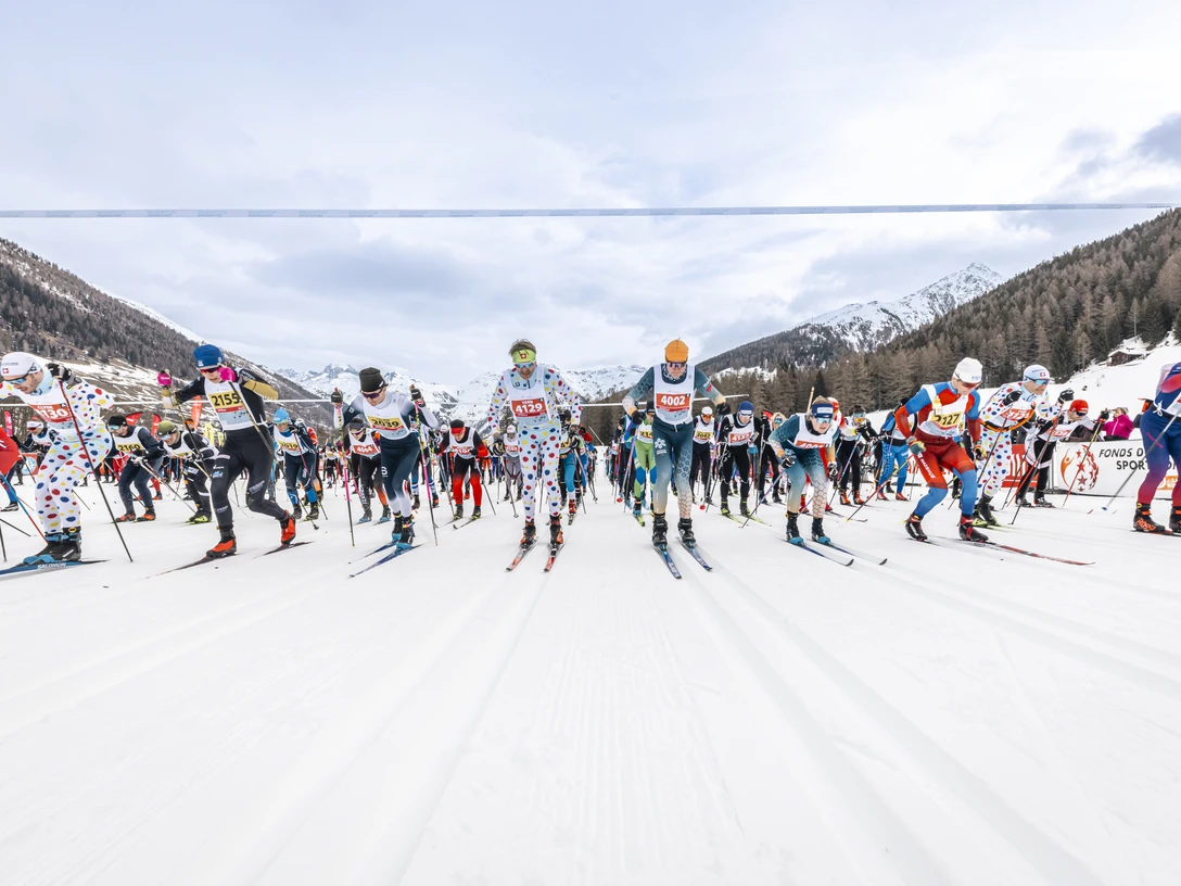 keyvisual gola 2026.JPG