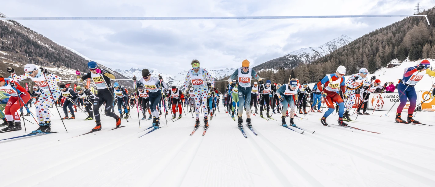 keyvisual gola 2026.JPG