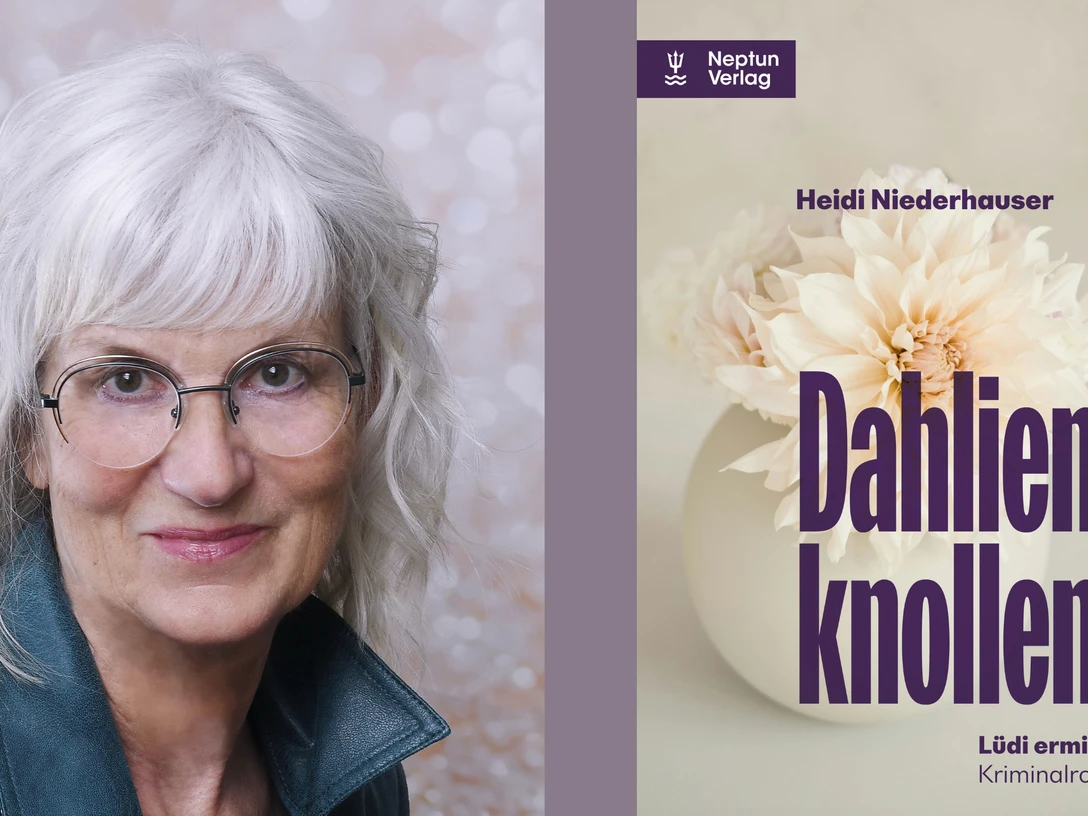 Banner Dahlienknollen