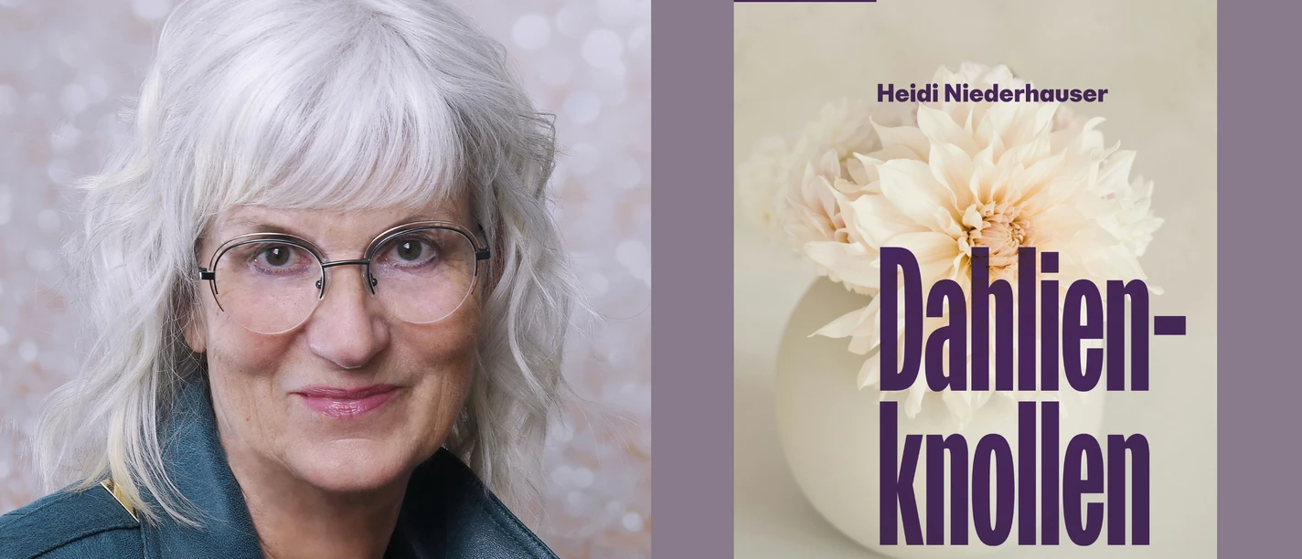 Banner Dahlienknollen