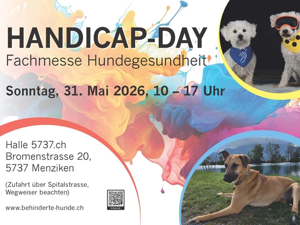 Seiten aus Flyer Handicap Day 2026
