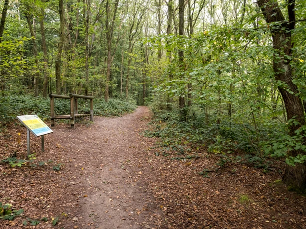 Walderlebnispfad am Boxberg