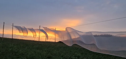 Bewegter Wind_ccby Ulrike Hackert