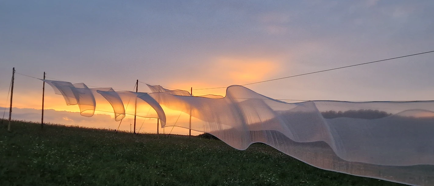 Bewegter Wind_ccby Ulrike Hackert