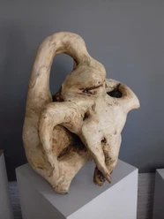 Ulrike Gärtner_Mit allem verbunden_Nadelholz_54 cm hoch.jpg Nadelholz 54cm Skulptur