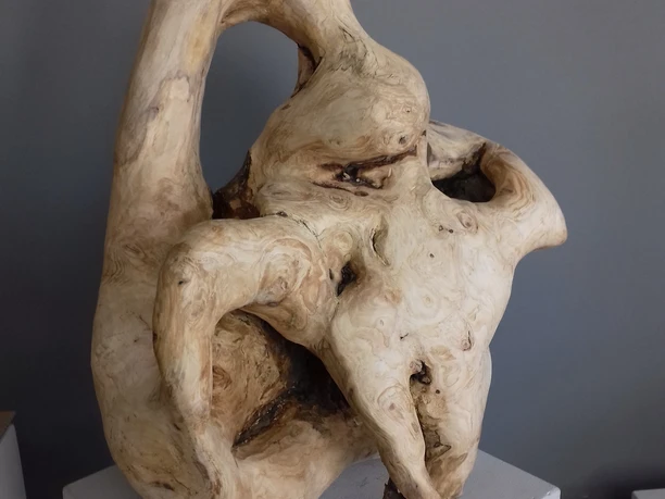 Ulrike Gärtner_Mit allem verbunden_Nadelholz_54 cm hoch.jpg Nadelholz 54cm Skulptur