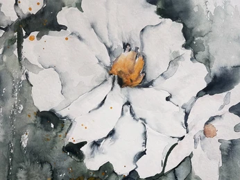 Brigitte-Strauß_Pfingstrose_Aquarell_50x60-cm.jpg Aquarell 50x60cm