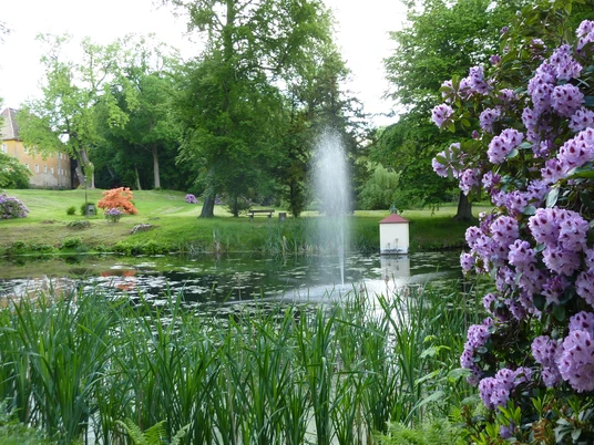 Schlosspark Dahlen Teich im Schlosspark Dahlen, umgeben von Bäumen und grüner Parklandschaft.