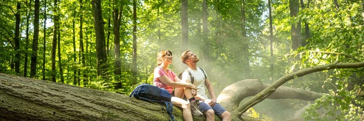 csm_silberbachtal-horn-bad-meinberg-kreis-lippe-teutoburger-wald-tourismus-d-ketz-056-jpg_cd31e37c0c.jpg