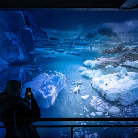 Person fotografiert das Panorama der Ausstellung ANTARKTIS im Panometer Leipzig – präsentiert vom Leipzig Convention Bureau
