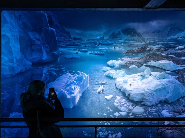 ANTARCTICA exhibition at Panometer Leipzig | Leipzig Convention Bureau Person fotografiert das Panorama der Ausstellung ANTARKTIS im Panometer Leipzig – präsentiert vom Leipzig Convention Bureau