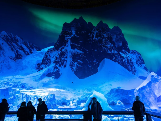 View of the ANTARCTICA exhibition at Panometer Leipzig | Leipzig Convention Bureau People viewing the panorama of the ANTARCTICA exhibition in a dimly lit interior – presented by Leipzig Convention Bureau