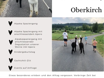 Flyer Your alpaca time in Haselrain