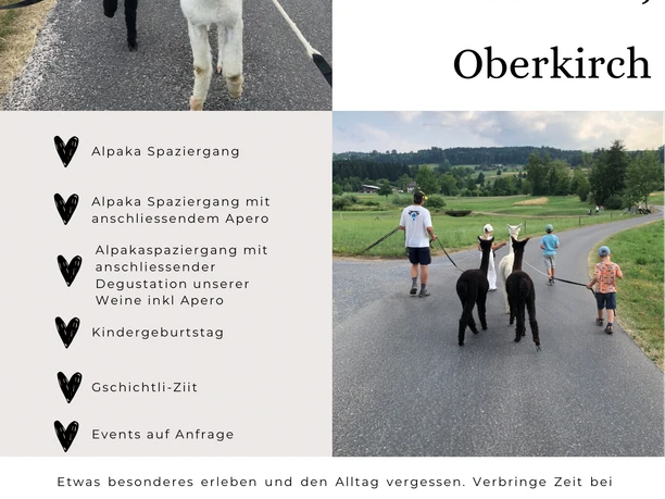 Flyer Your alpaca time in Haselrain