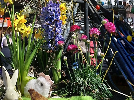 Blumen auf dem Fritzlarer Frühlingsfest