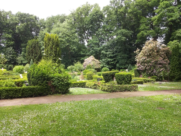 AlterFriedhof.jpg