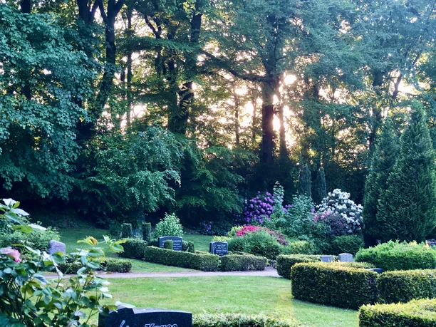 Alter Friedhof Sonnenuntergang vO.jpeg