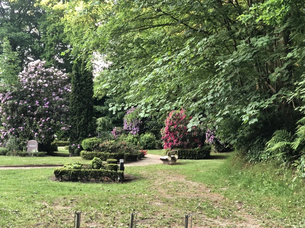 Alter Friedhof vO.jpeg