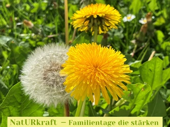 NatURkraft Bild