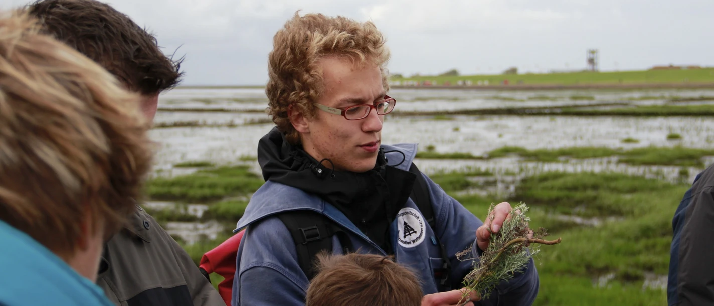 Salzwiesenwanderung Personen stehen in den Salzwiesen