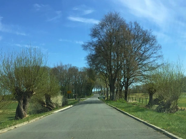 Straßenansicht am Ortsrand von Emern im Landkreis Uelzen