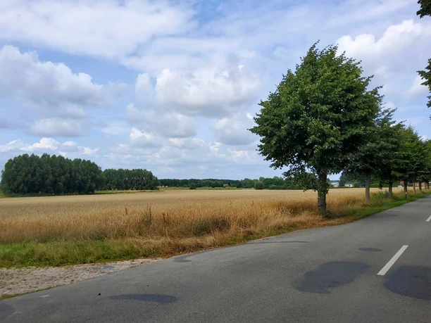 Straße bei Ostedt mit weitem Blick über Felder Ländliche Straße nahe Ostedt im Landkreis Uelzen