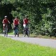 Mehrere Radfahrer in sommerlicher Kleidung auf dem Radweg am Wald entlang.