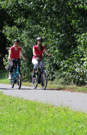 Mehrere Radfahrer in sommerlicher Kleidung auf dem Radweg am Wald entlang.