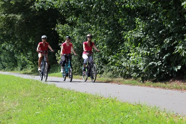 Radfahren in der Mittelweser-Region (83).JPG Mehrere Radfahrer in sommerlicher Kleidung auf dem Radweg am Wald entlang.