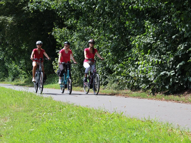 Radfahren in der Mittelweser-Region (83).JPG Mehrere Radfahrer in sommerlicher Kleidung auf dem Radweg am Wald entlang.