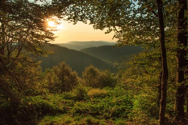 Sauerland faszinierend schoen 13.JPG Unterwegs auf dem Rothaarsteig