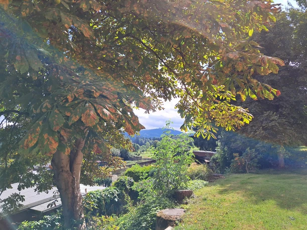 Blick zum Hausberg