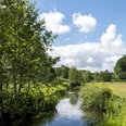 Idyllische Naturlandschaft