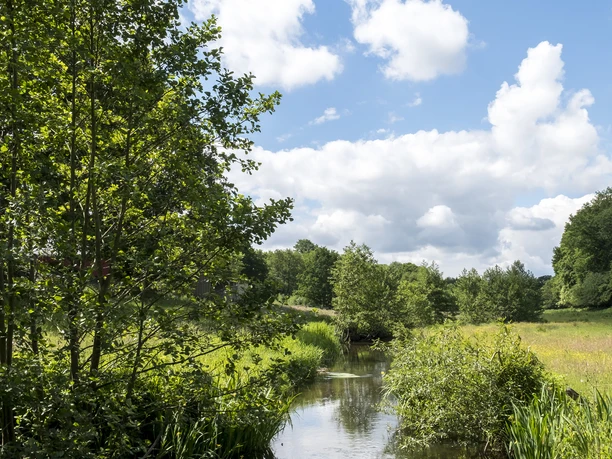 Idyllische Naturlandschaft