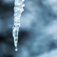 leozc-icicle-1125335_1280.jpg