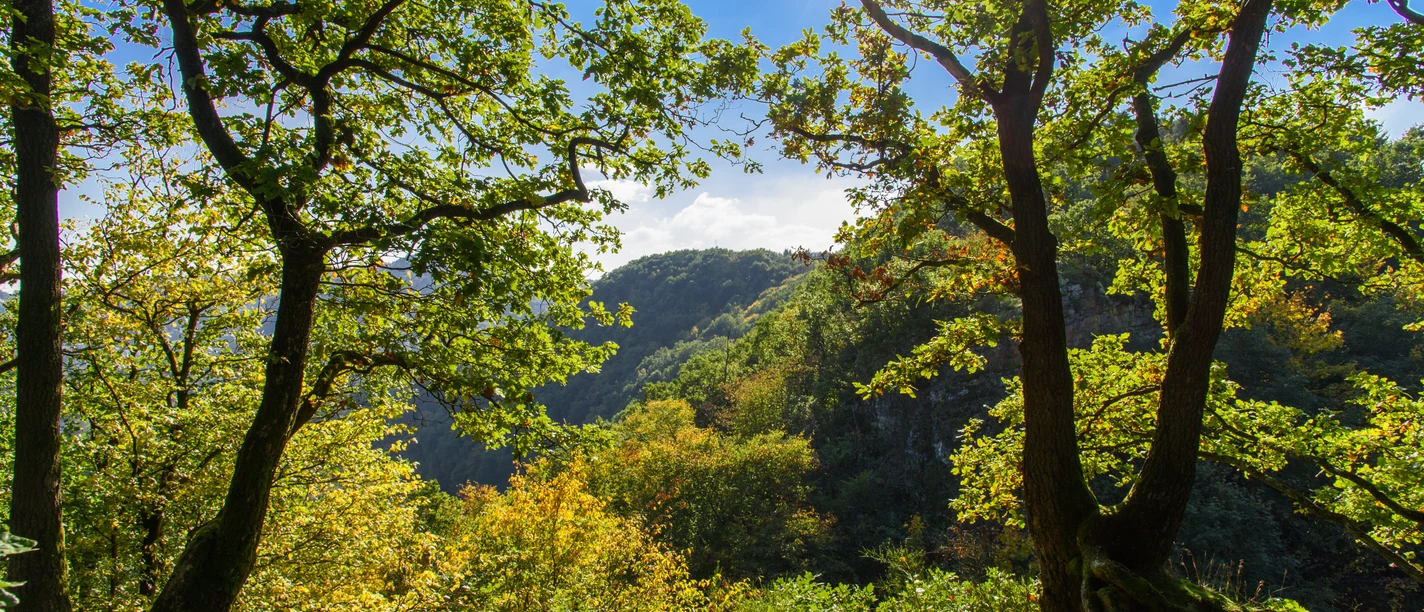 Landschaft um Dreisel Hampl.jpg