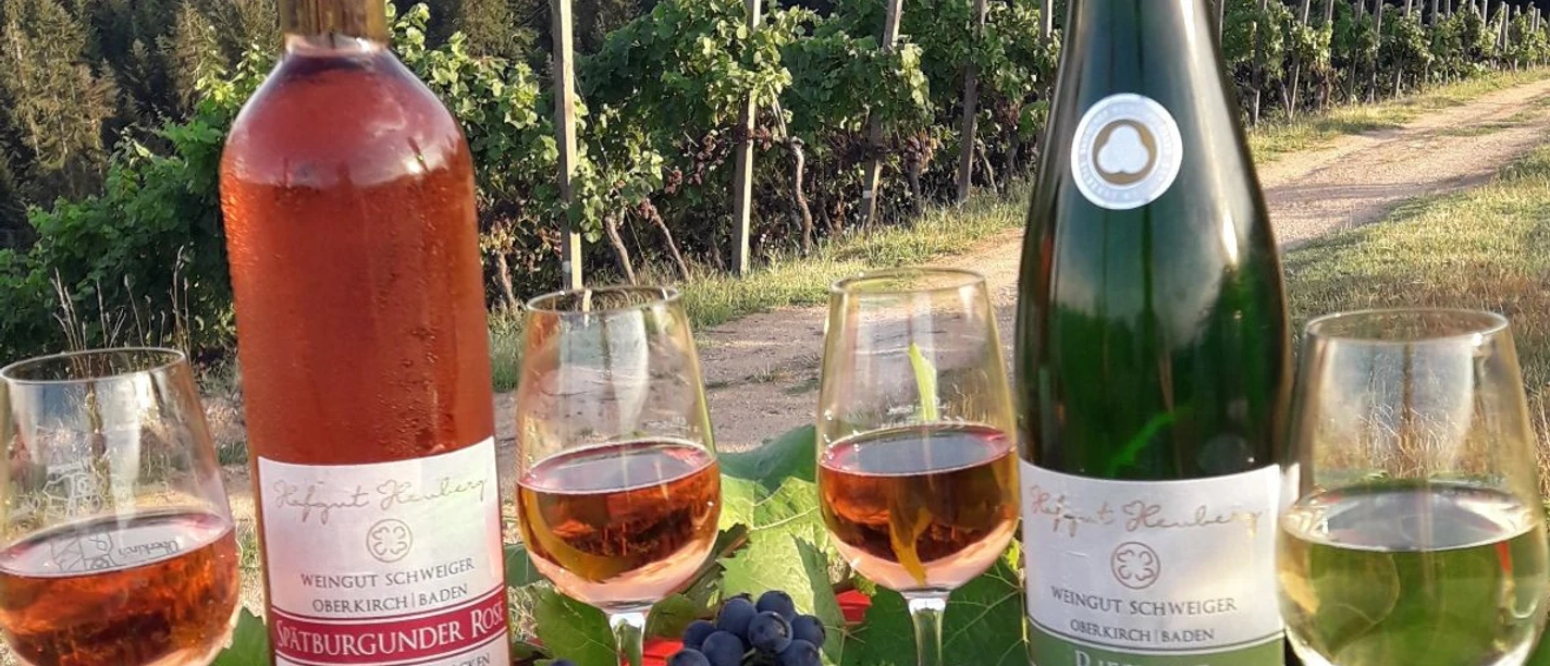 Weinbergführung